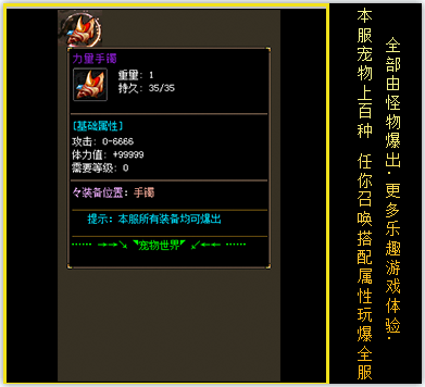 description 